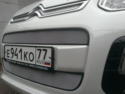 Citroen C3 Picasso (12–) Защита радиатора, хром (2 части)